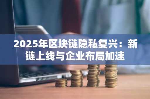 2025年区块链隐私复兴:新链上线与企业布局加速
