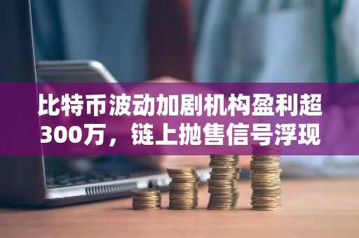 比特币波动加剧机构盈利超300万,链上抛售信号浮现