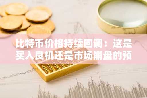 比特币价格持续回调：这是买入良机还是市场崩盘的预兆？
