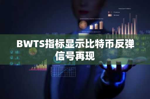 BWTS指标显示比特币反弹信号再现