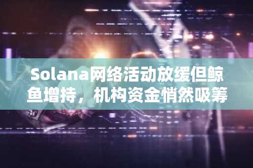 Solana网络活动放缓但鲸鱼增持，机构资金悄然吸筹