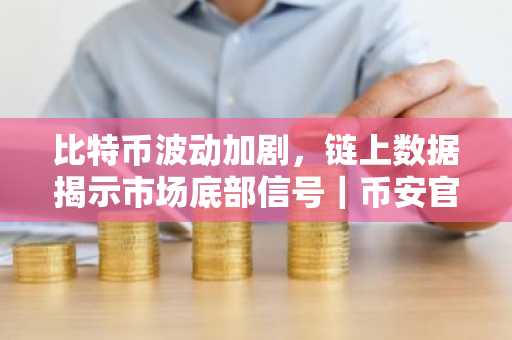 比特币波动加剧，链上数据揭示市场底部信号｜币安官方交易所