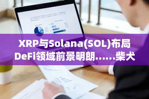 XRP与Solana(SOL)布局DeFi领域前景明朗……柴犬币反弹及SpaceX比特币异动引关注