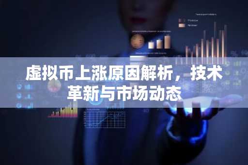 虚拟币上涨原因解析，技术革新与市场动态