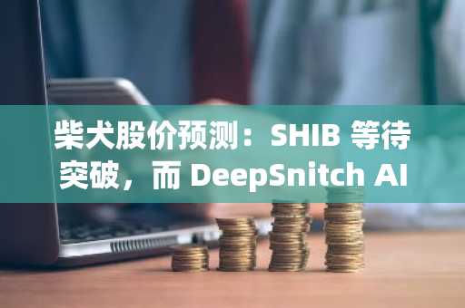 柴犬股价预测：SHIB 等待突破，而 DeepSnitch AI 即将完成 100 万美元融资