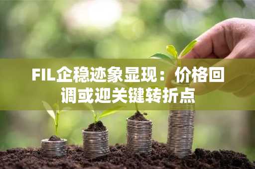 FIL企稳迹象显现:价格回调或迎关键转折点