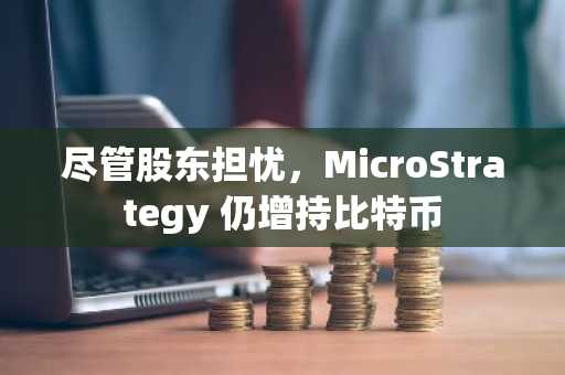 尽管股东担忧，MicroStrategy 仍增持比特币