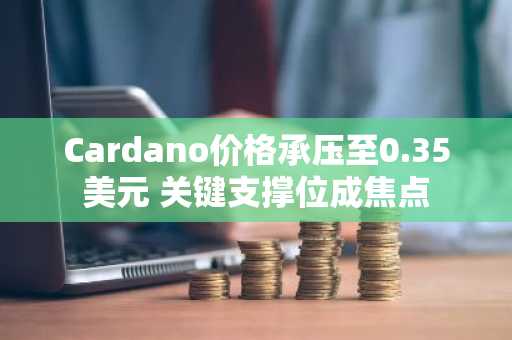 Cardano价格承压至0.35美元 关键支撑位成焦点