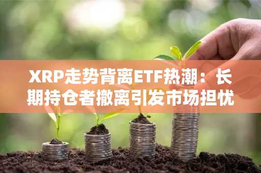 XRP走势背离ETF热潮：长期持仓者撤离引发市场担忧