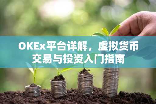 OKEx平台详解，虚拟货币交易与投资入门指南