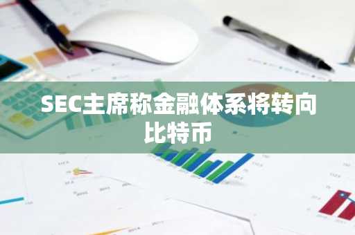 SEC主席称金融体系将转向比特币