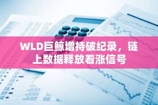 WLD巨鲸增持破纪录,链上数据释放看涨信号
