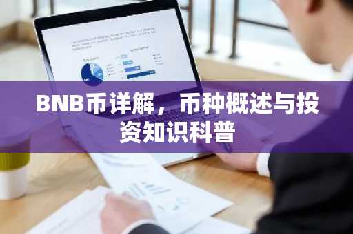 BNB币详解，币种概述与投资知识科普