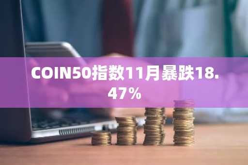 COIN50指数11月暴跌18.47%