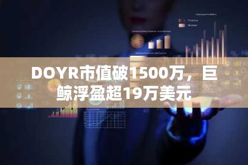 DOYR市值破1500万,巨鲸浮盈超19万美元