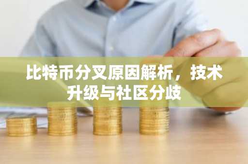 比特币分叉原因解析，技术升级与社区分歧