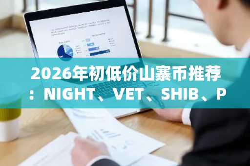 2026年初低价山寨币推荐：NIGHT、VET、SHIB、PEPE潜力解析