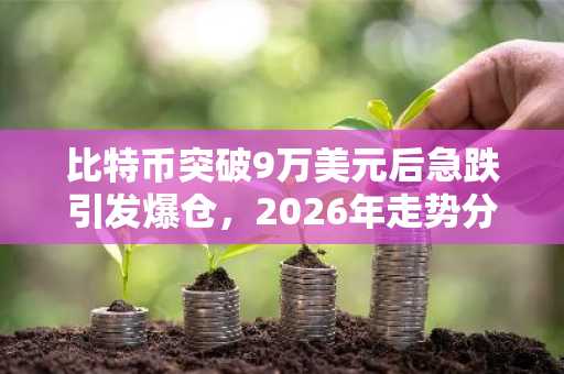比特币突破9万美元后急跌引发爆仓，2026年走势分化明显
