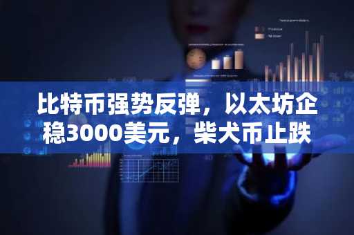 比特币强势反弹，以太坊企稳3000美元，柴犬币止跌企稳