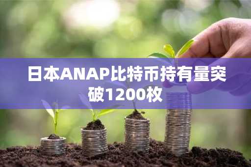 日本ANAP比特币持有量突破1200枚