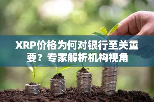 XRP价格为何对银行至关重要？专家解析机构视角