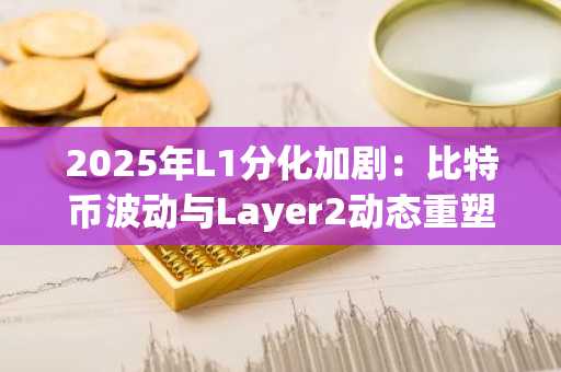 2025年L1分化加剧：比特币波动与Layer2动态重塑市场格局