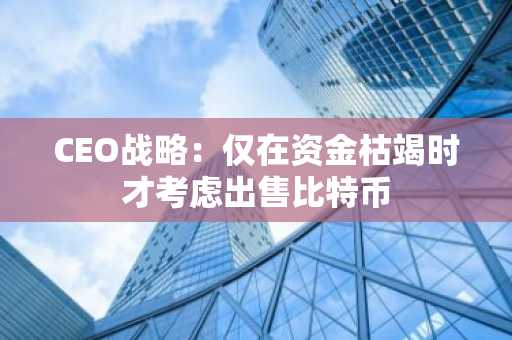 CEO战略：仅在资金枯竭时才考虑出售比特币