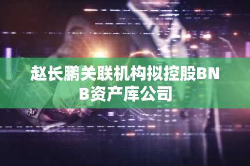 赵长鹏关联机构拟控股BNB资产库公司