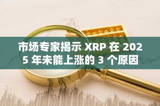 市场专家揭示 XRP 在 2025 年未能上涨的 3 个原因