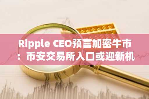 Ripple CEO预言加密牛市：币安交易所入口或迎新机遇