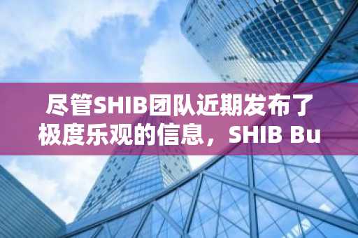 尽管SHIB团队近期发布了极度乐观的信息，SHIB Burns股价仍暴跌94%。