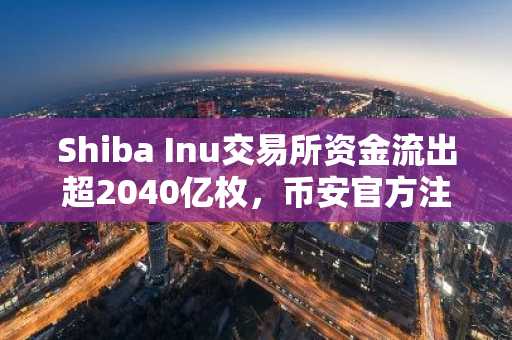 Shiba Inu交易所资金流出超2040亿枚，币安官方注册入口助你把握市场趋势