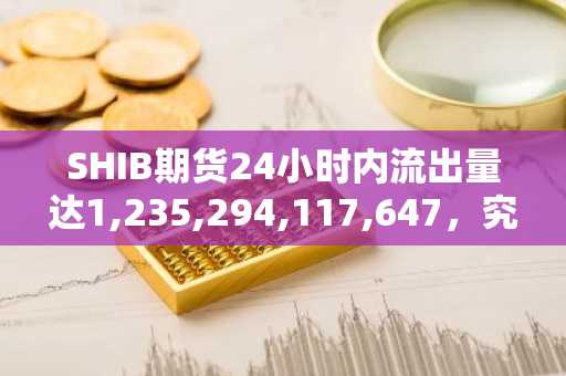SHIB期货24小时内流出量达1,235,294,117,647，究竟发生了什么？
