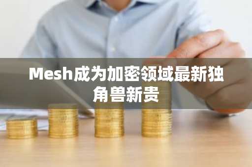 Mesh成为加密领域最新独角兽新贵