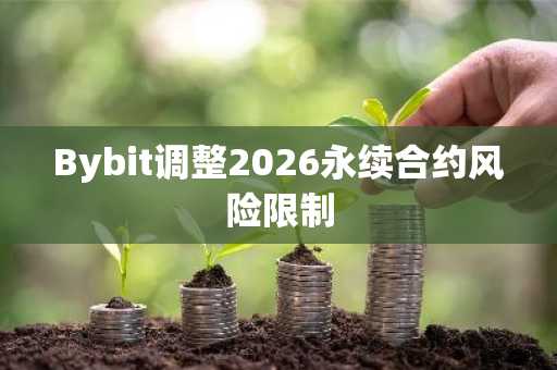 Bybit调整2026永续合约风险限制
