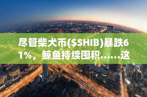 尽管柴犬币($SHIB)暴跌61%，鲸鱼持续囤积……这是“抄底”信号吗？