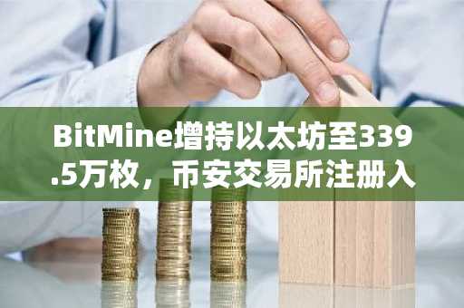 BitMine增持以太坊至339.5万枚，币安交易所注册入口助力机构级交易