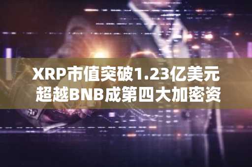 XRP市值突破1.23亿美元 超越BNB成第四大加密资产 币安官网注册入口已开放