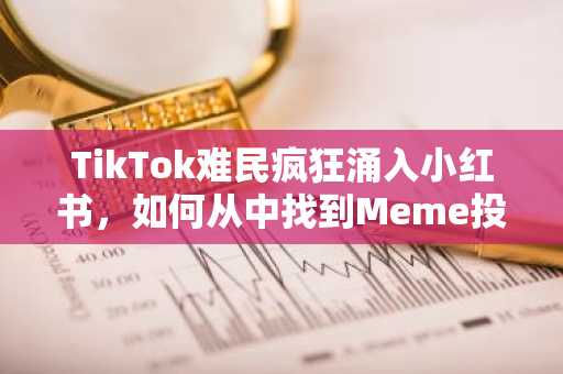 TikTok难民疯狂涌入小红书，如何从中找到Meme投资机会？