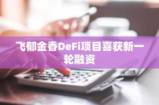 飞郁金香DeFi项目喜获新一轮融资