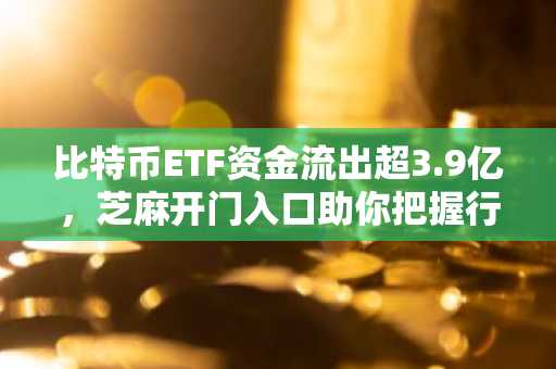 比特币ETF资金流出超3.9亿,芝麻开门入口助你把握行情机遇