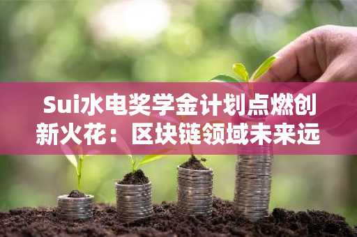 Sui水电奖学金计划点燃创新火花：区块链领域未来远见者招募启动