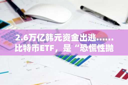 2.6万亿韩元资金出逃……比特币ETF，是“恐慌性抛售”还是技术性调整？