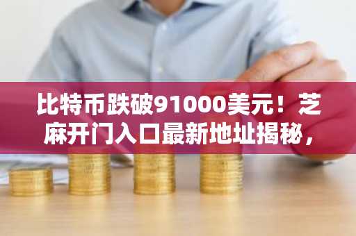 比特币跌破91000美元！芝麻开门入口最新地址揭秘，6月或跌至8万