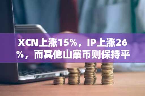 XCN上涨15%，IP上涨26%，而其他山寨币则保持平稳。
