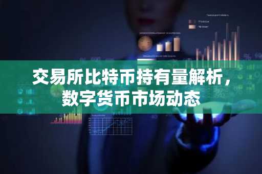 交易所比特币持有量解析，数字货币市场动态