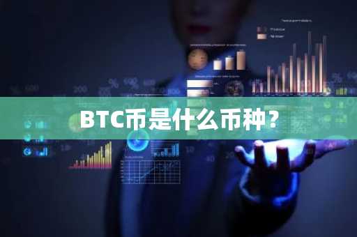 BTC币是什么币种？
