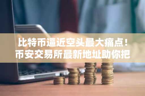 比特币逼近空头最大痛点！币安交易所最新地址助你把握91,962美元关键节点